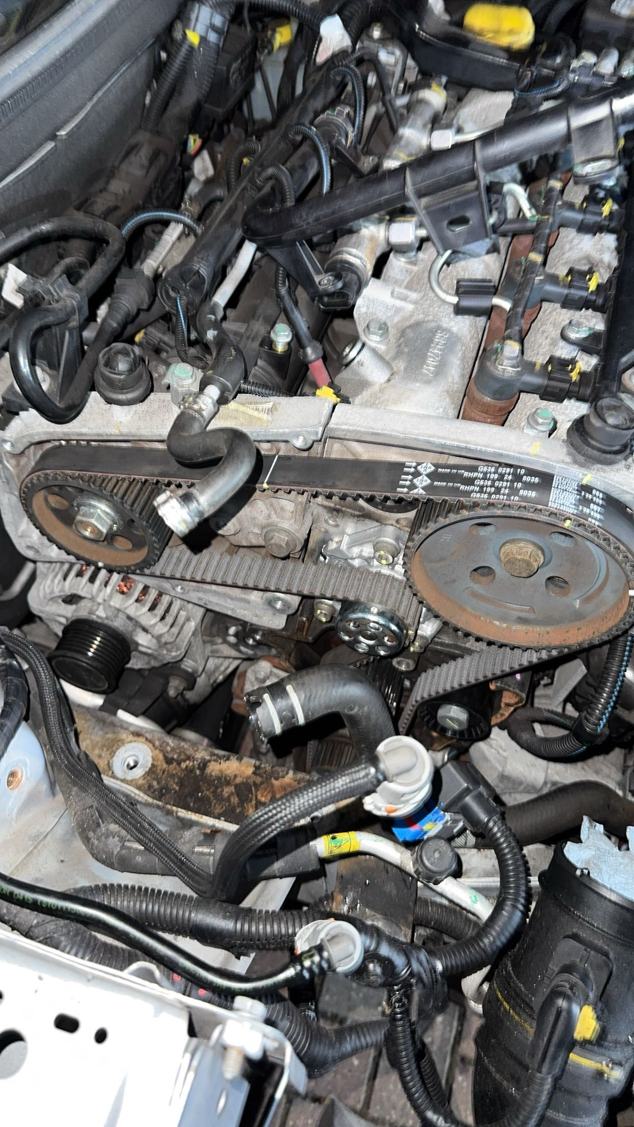 Timing belt kit replacement Norfolk